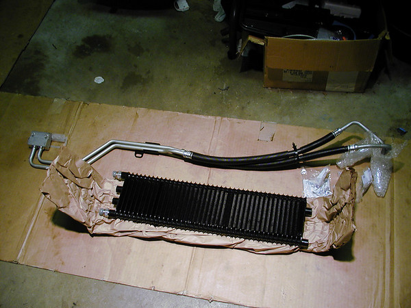 168421662-M.jpg