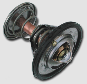 2009LN1006300_2.jpg