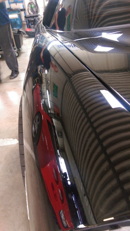 IMAG0049.jpg