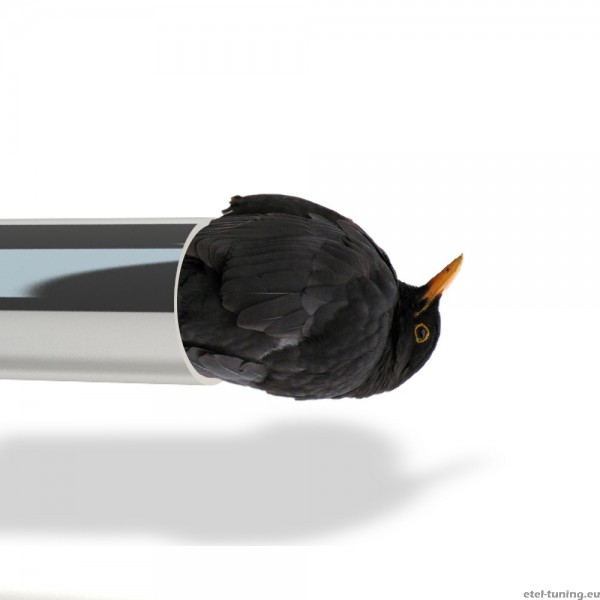 auspuffdrossel.jpg