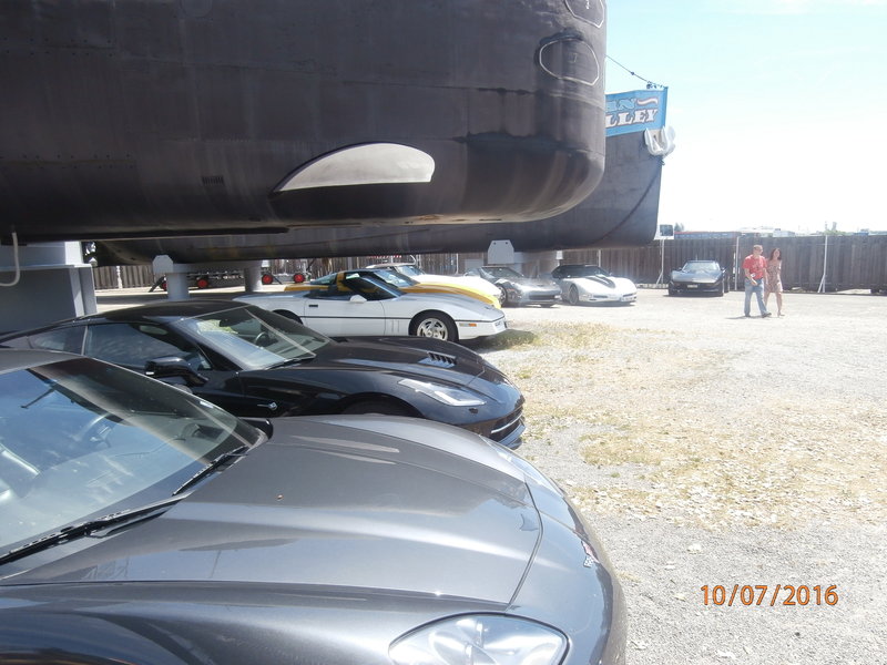 P7100015.JPG