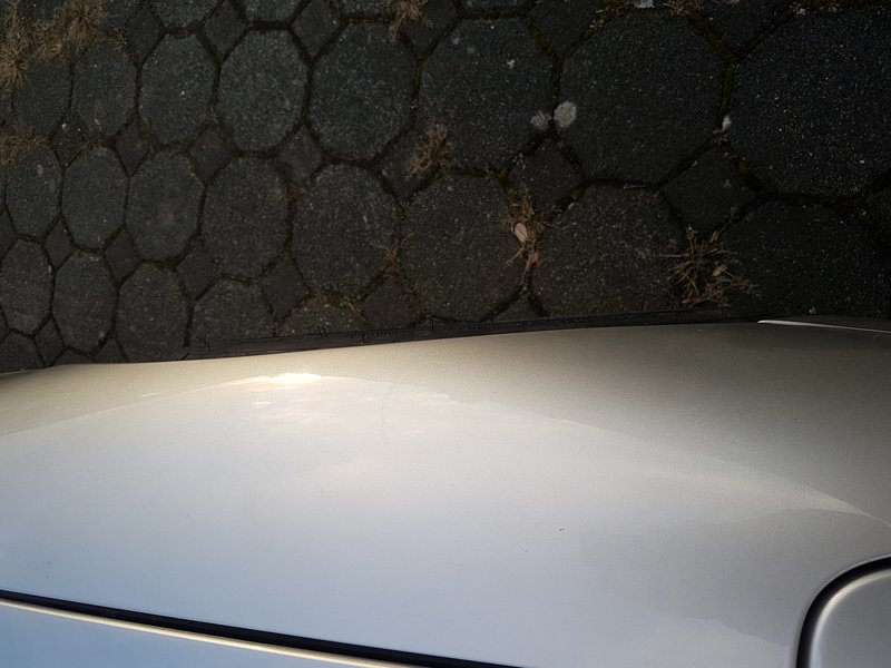 20190207_164953.jpg